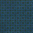 c116 blue&green