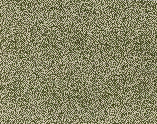 the whole of the paper