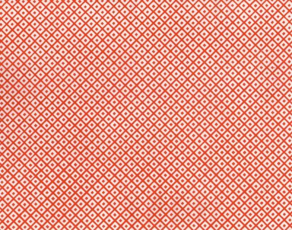 the whole of the paper