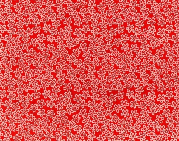 the whole of the paper