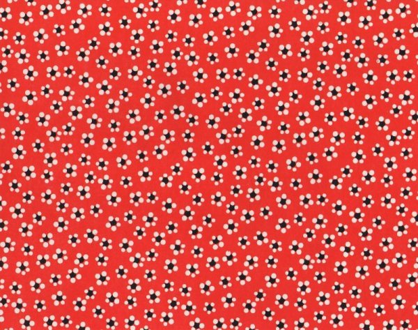 the whole of the paper