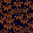 c264 orange&dark blue
