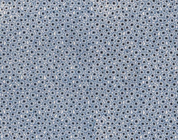 the whole of the paper