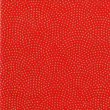 c519 red/gold