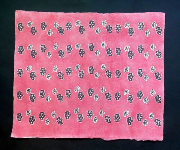 Photo4: kata208a (4)