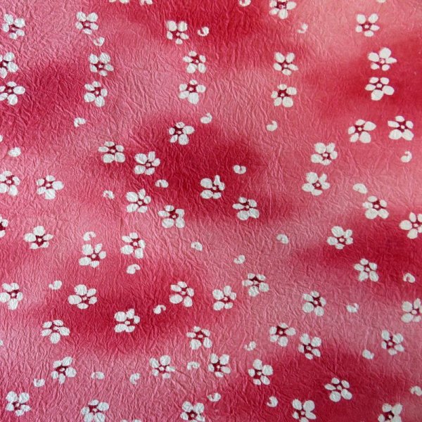 Photo3: kata206a (3)