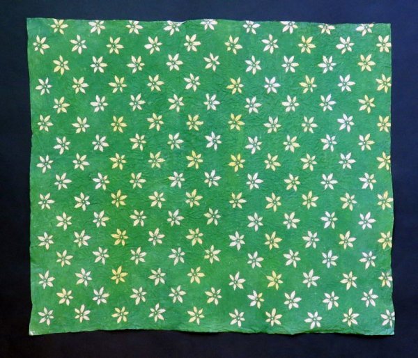 Photo4: kata202a (4)