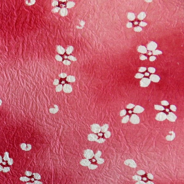 Photo2: kata206a (2)