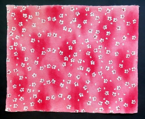 Photo4: kata206a (4)