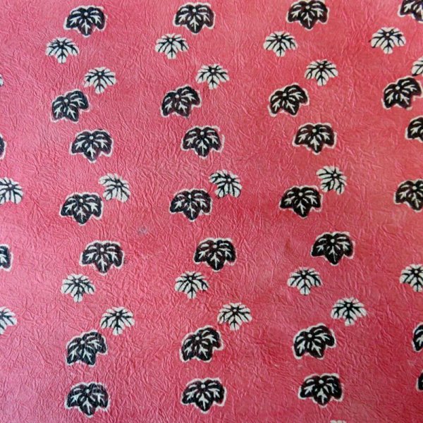 Photo3: kata208a (3)