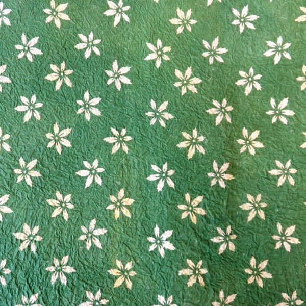 Photo3: kata202a (3)