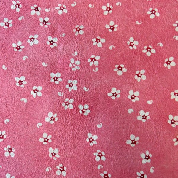 Photo3: kata206b (3)