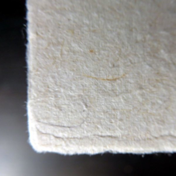 Photo3: 126nigyo (3)