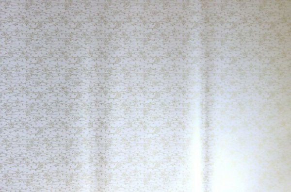 Photo4: kyo212ks (4)