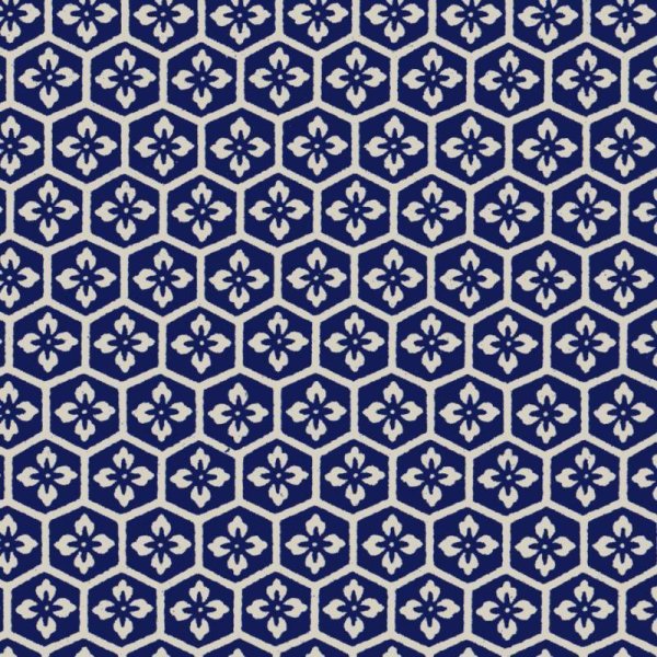 c081 dark bluen