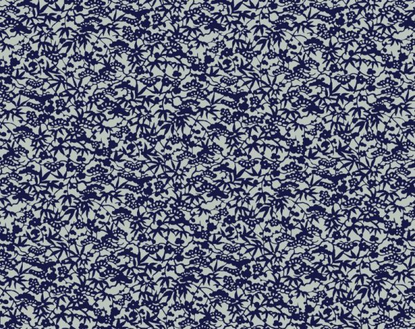 the whole of the paper